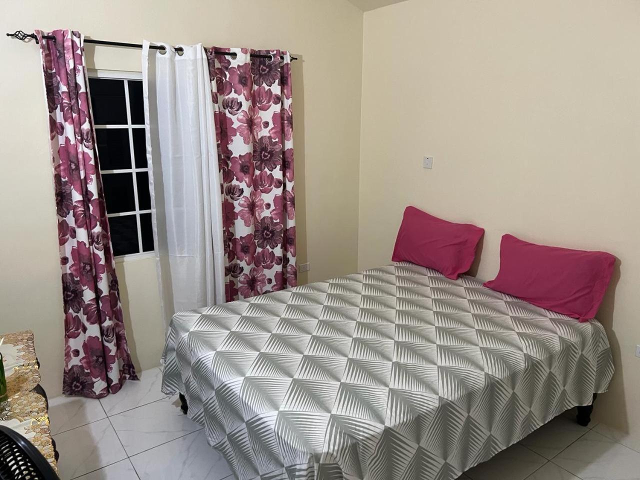 Finest Accommodation Renfrew Place 4-12 Renfrew Rd 2 Bedroom 2 Bat Apt # 15 New Kinston Jamaica Kingston Exterior photo